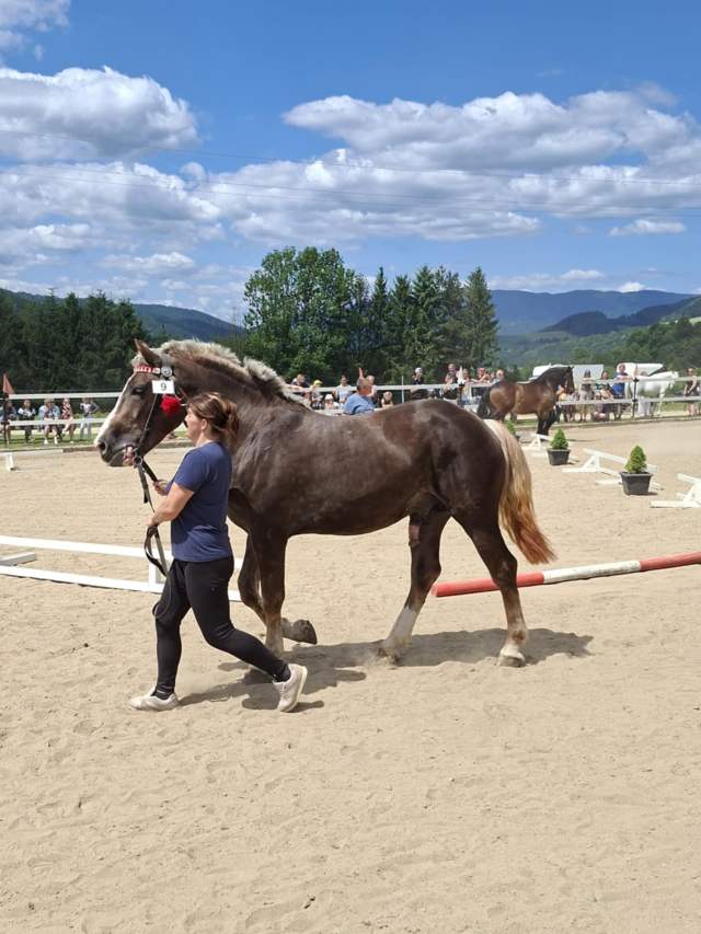 54c602cb-1b6c-455d-af2e-86ce3e279ca6